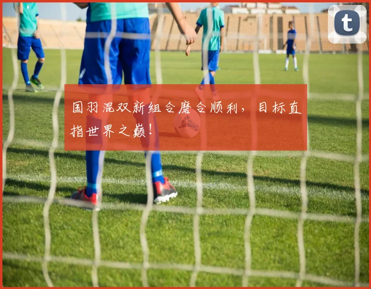 国羽混双新组合磨合顺利，目标直指世界之巅！