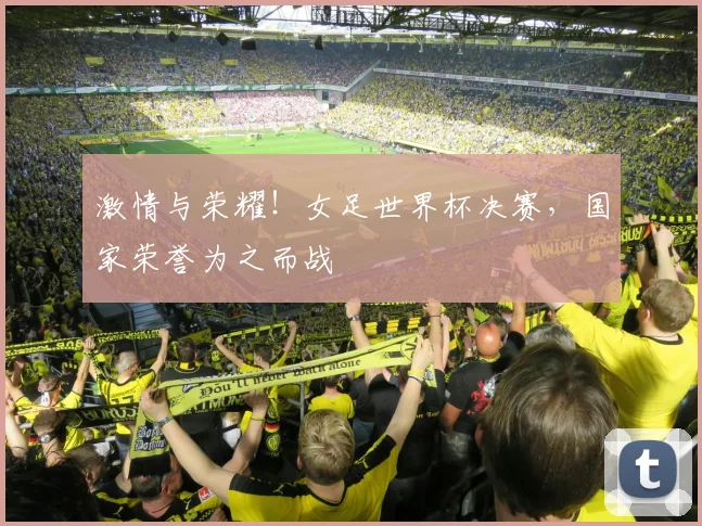 激情与荣耀！女足世界杯决赛，国家荣誉为之而战
