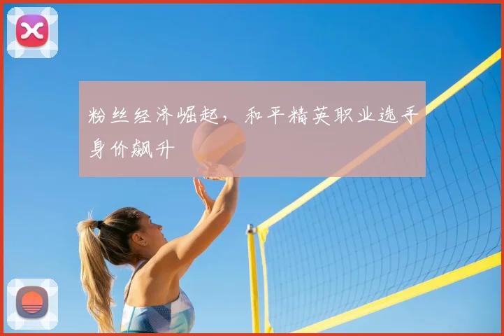 粉丝经济崛起，和平精英职业选手身价飙升